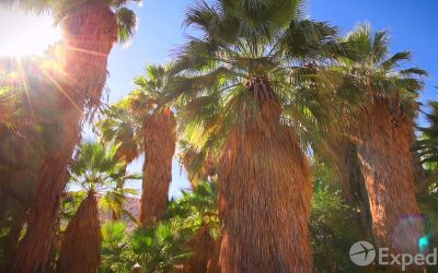 Palm Springs Vacation Travel Guide | Expedia